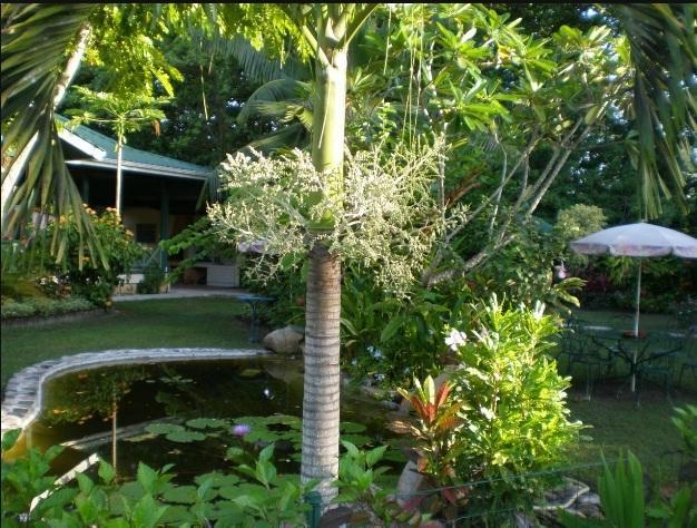 Diguoise Guest House Insel Insel La Digue Exterior foto