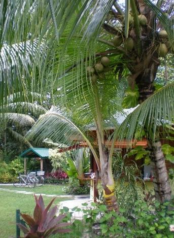 Diguoise Guest House Insel Insel La Digue Exterior foto